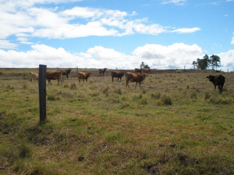 161 Wellers Road, Wooroolin QLD 4608