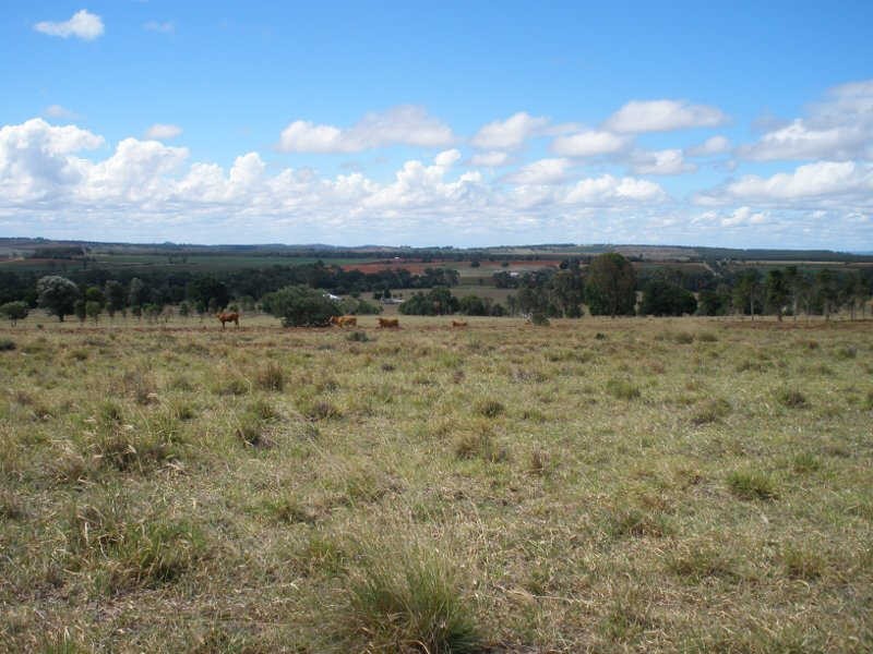 161 Wellers Road, Wooroolin QLD 4608