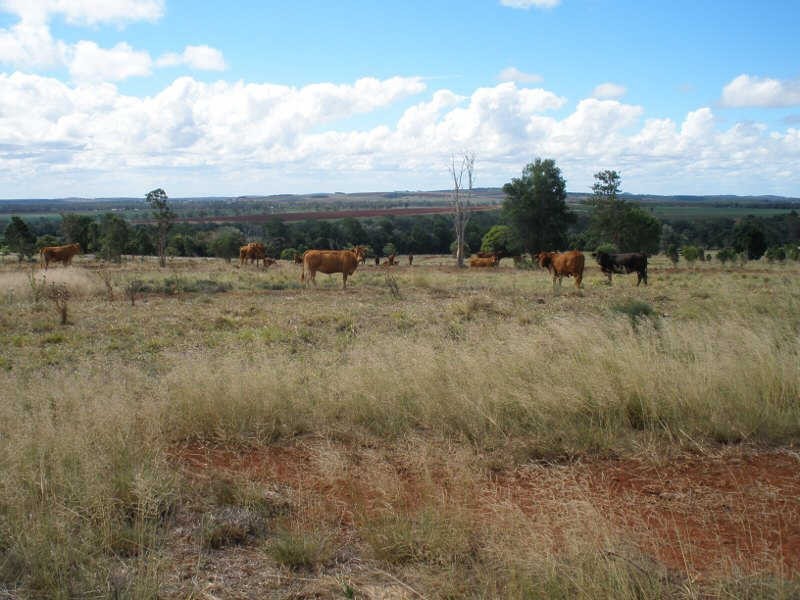 161 Wellers Road, Wooroolin QLD 4608