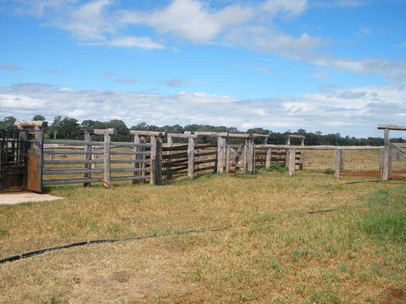 161 Wellers Road, Wooroolin QLD 4608
