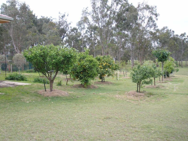 1559 Memerambi Barkers Creek Road, Wattle Camp QLD 4615