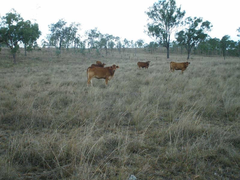 5803 Wide Bay Highway, Goomeri QLD 4601