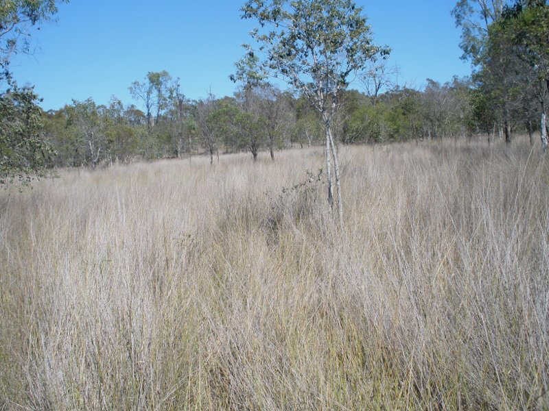 Lot 22 Shellytop Road, Durong QLD 4610