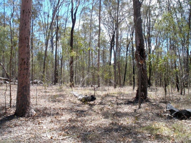 Lot 10 Seiler Road, Ballogie QLD 4610