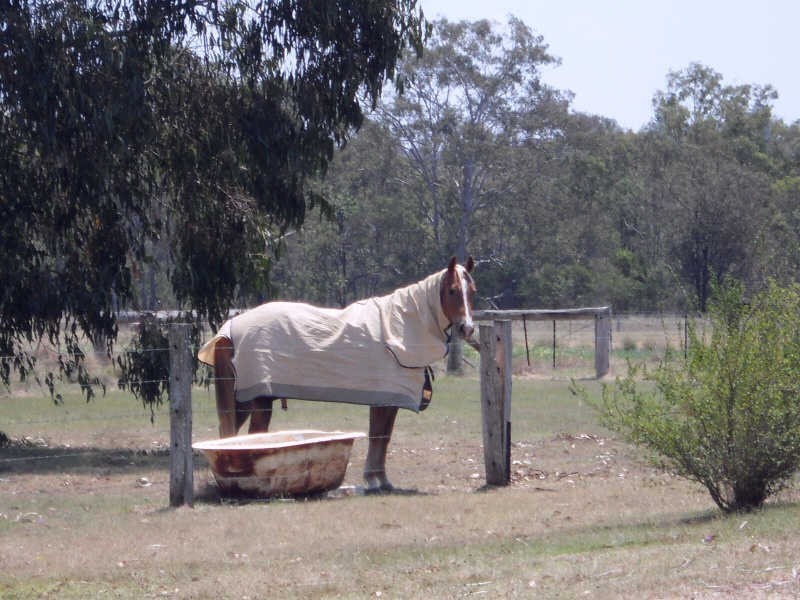 1038 River Road, Kingaroy QLD 4610