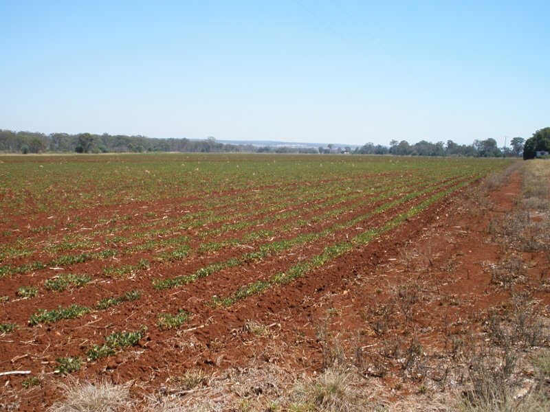 Lot 50 D’Aguilar Highway, Kingaroy QLD 4610