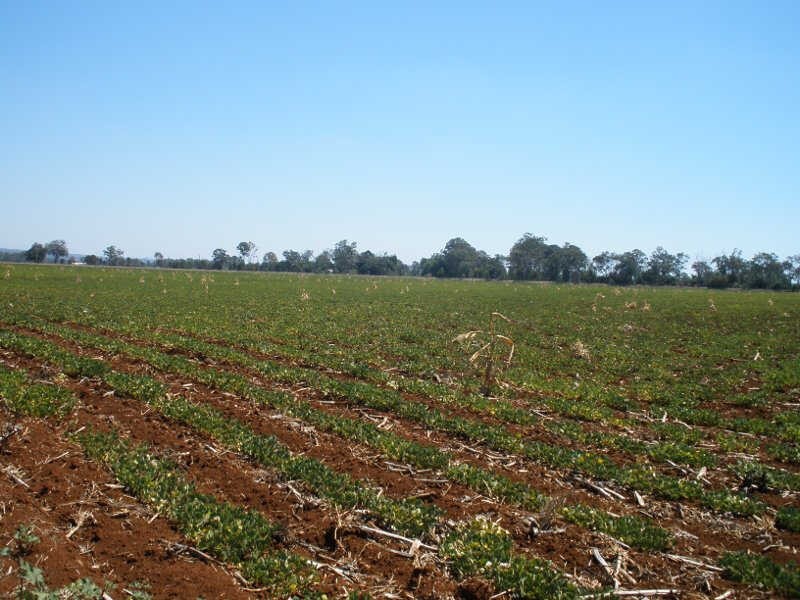 Lot 50 D’Aguilar Highway, Kingaroy QLD 4610