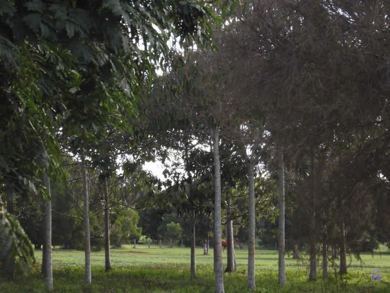 27 Redmans Road, Kingaroy QLD 4610