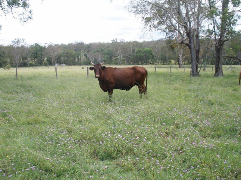278 Seilers Road, Ballogie QLD 4610