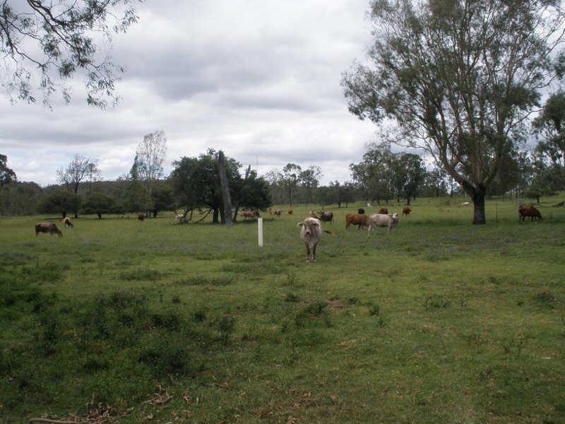 278 Seilers Road, Ballogie QLD 4610