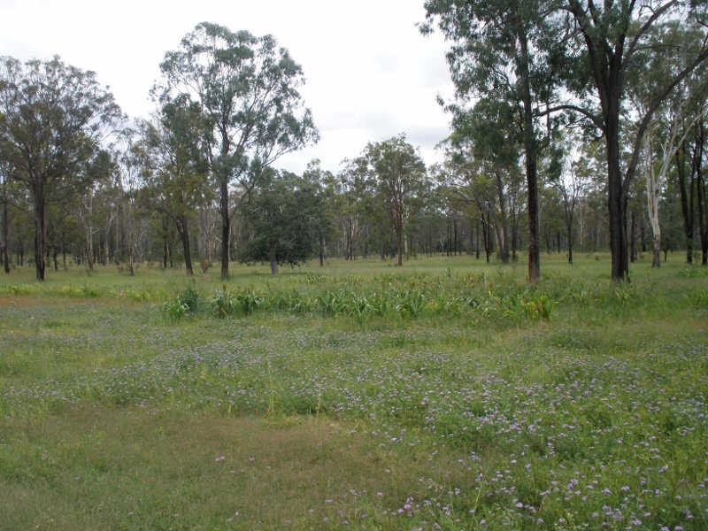 278 Seilers Road, Ballogie QLD 4610