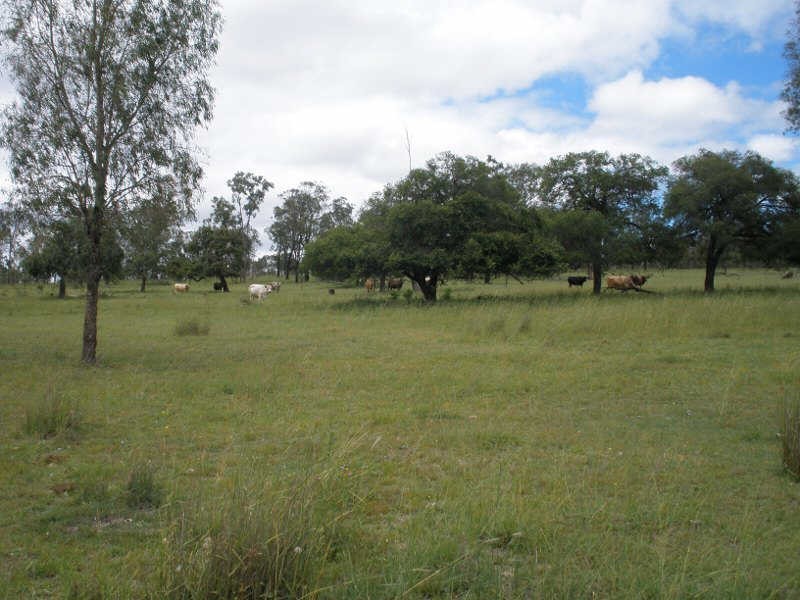 278 Seilers Road, Ballogie QLD 4610