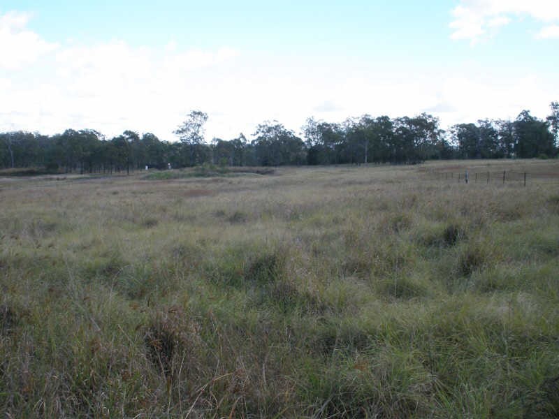 19 Lilian Avenue, Ellesmere QLD 4610