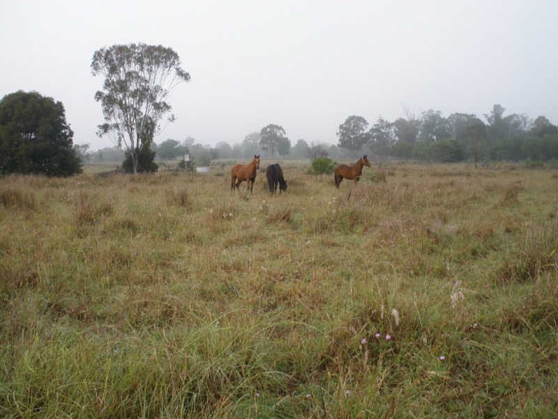 905 Wilsons Road, Cloyna QLD 4605