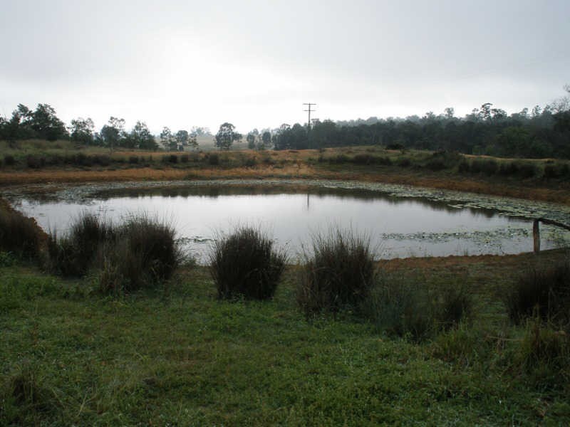 905 Wilsons Road, Cloyna QLD 4605