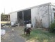 171 Sloans Road, Coolabunia QLD 4610