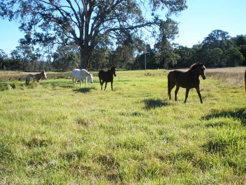 Lot 342 Benair Road, Benair QLD 4610