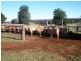 432 Benair Road, Benair QLD 4610