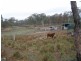 11182 Chinchilla Wondai Road, Durong QLD 4610