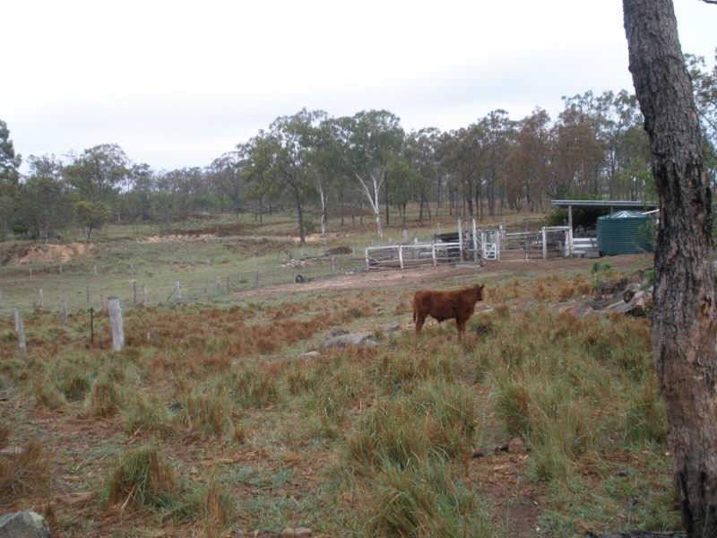 11182 Chinchilla Wondai Road, Durong QLD 4610