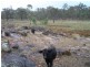 11182 Chinchilla Wondai Road, Durong QLD 4610
