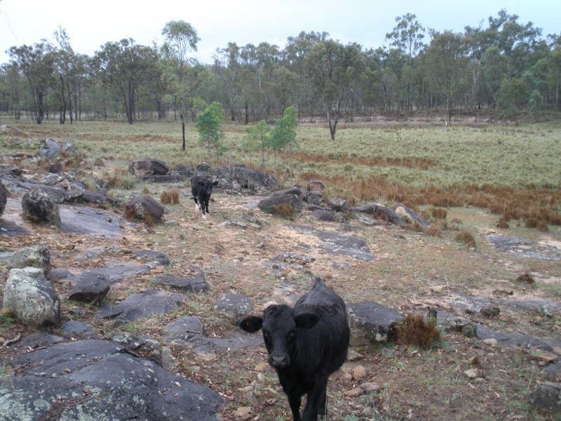 11182 Chinchilla Wondai Road, Durong QLD 4610