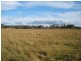 3245 New England Highway, Wutul QLD 4352