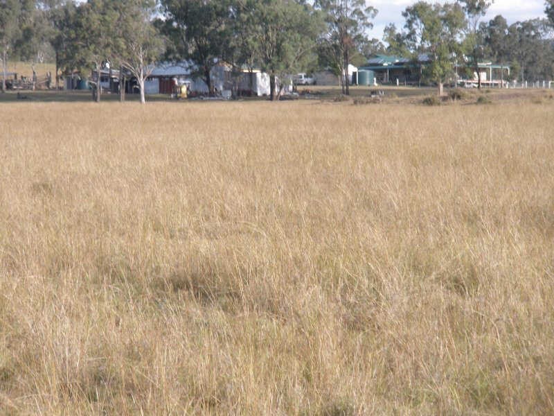 3245 New England Highway, Wutul QLD 4352