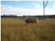 3245 New England Highway, Wutul QLD 4352