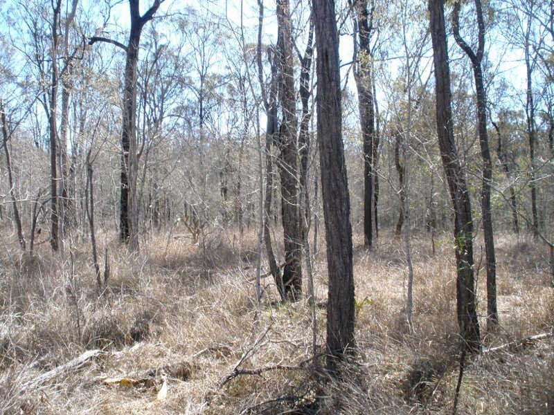 Lot 2 Proston Boondooma Road, Coverty QLD 4613