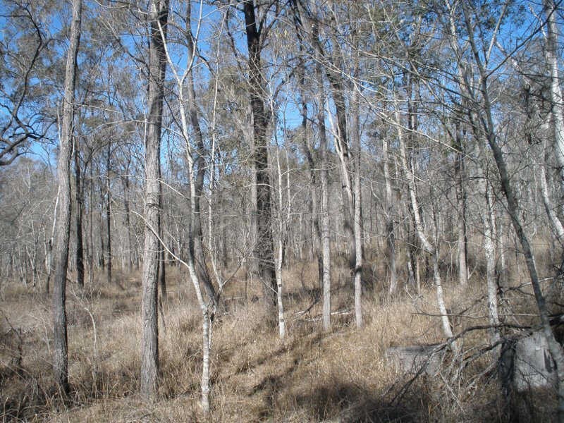 Lot 2 Proston Boondooma Road, Coverty QLD 4613