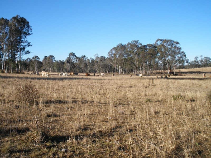 Lot 99 Smiths Road, Barker Creek Flat QLD 4615