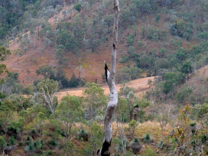 Kinbombi Road, Kinbombi QLD 4601