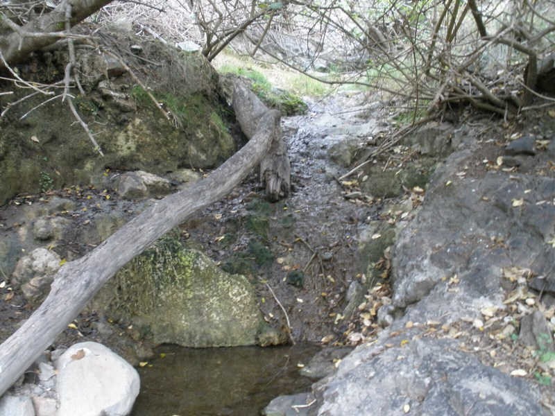 Kinbombi Road, Kinbombi QLD 4601