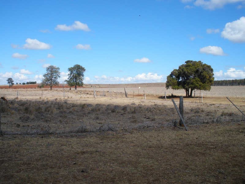 41 Cants Road, Wooroolin QLD 4608