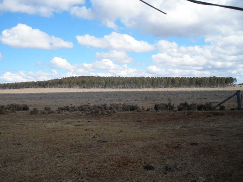 41 Cants Road, Wooroolin QLD 4608