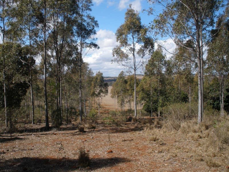 41 Cants Road, Wooroolin QLD 4608