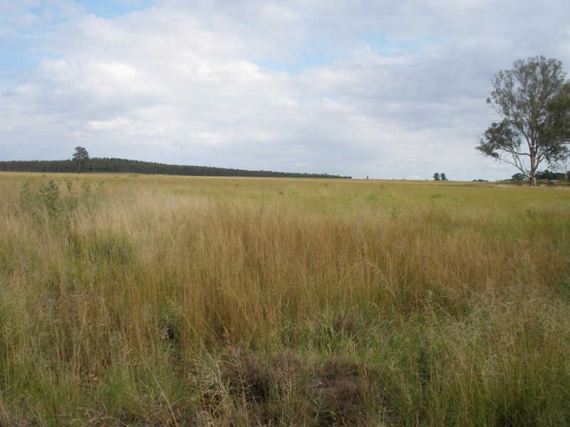 41 Cants Road, Wooroolin QLD 4608