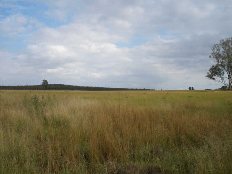 41 Cants Road, Wooroolin QLD 4608