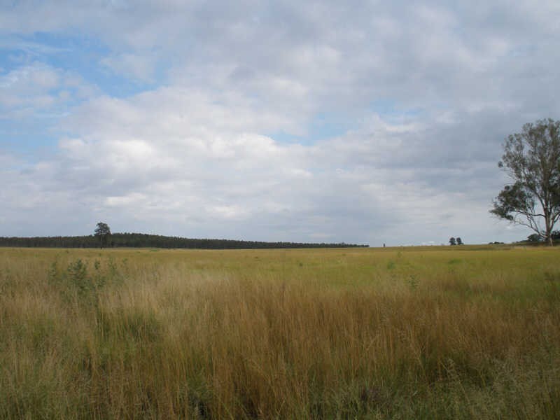 41 Cants Road, Wooroolin QLD 4608