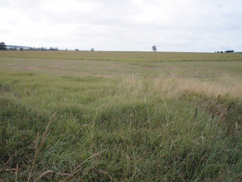 41 Cants Road, Wooroolin QLD 4608