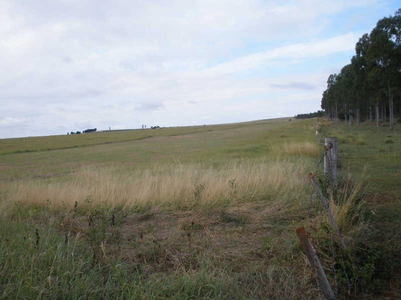 41 Cants Road, Wooroolin QLD 4608