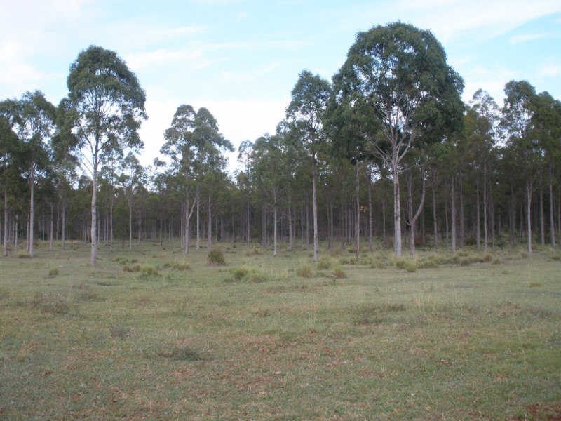 41 Cants Road, Wooroolin QLD 4608