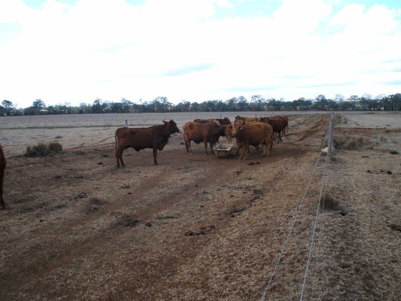 41 Cants Road, Wooroolin QLD 4608