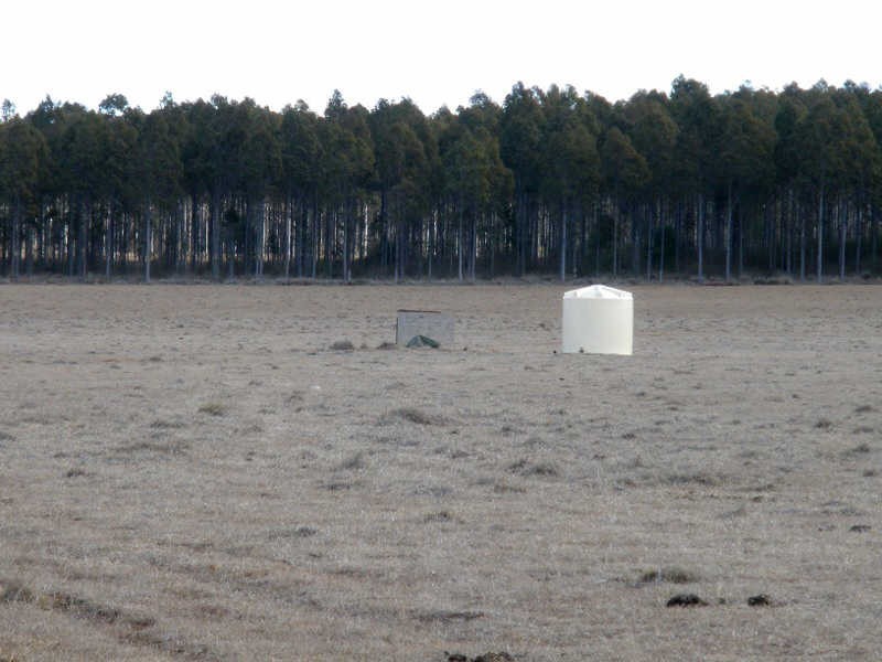 41 Cants Road, Wooroolin QLD 4608