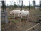 173 Nanango Tarong Road, South Nanango QLD 4615