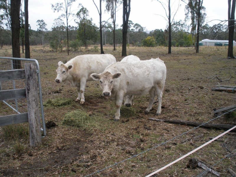 173 Nanango Tarong Road, South Nanango QLD 4615