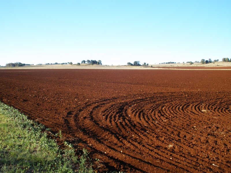 12318 Bunya Highway, Memerambi QLD 4610