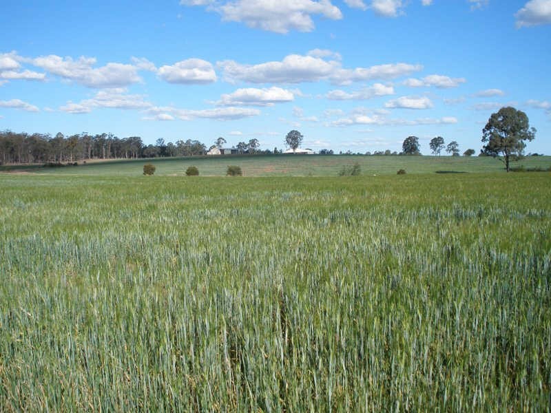 207 Brand Road, Wooroonden QLD 4605