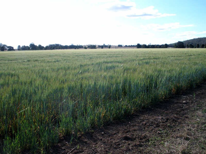 207 Brand Road, Wooroonden QLD 4605